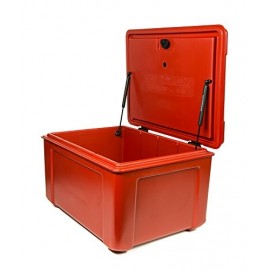 DELIVERY THERMOBOX II