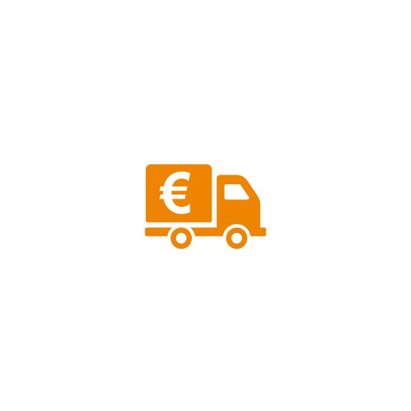 TRANSPORTE EXPRESS