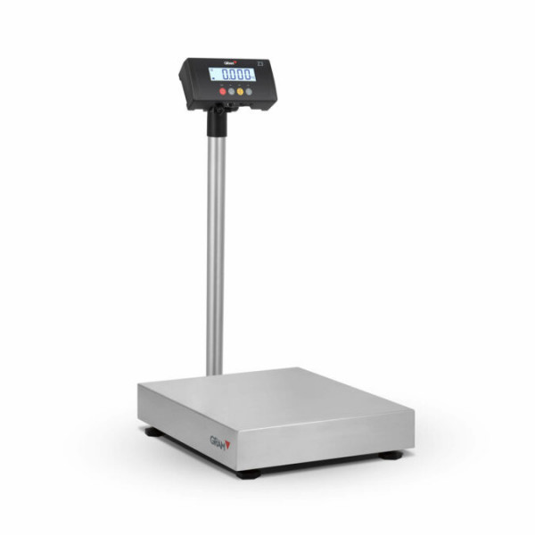 Báscula profesional de pie 150 kg plataforma 40x30 cm